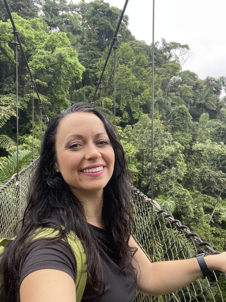 Hanging bridges